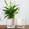 Planters Automatisk vattning Smart Flower Pot Bonsai Flowerpot Garden Plant Pots
