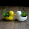 Plantadores bonito pato vaso de cerâmica vaso hidropônico plantador ornamentos mesa decoração para casa jardim pote planta suculenta