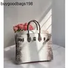 Bolso de diseñador Bolsos del Himalaya Hanlante Importado Cocodrilo del Nilo Platino 25 cm Cuero de tres piezas Hecho para mujer Moda clásica