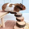 Toys Hamster Wood Toy Golden Bear Twostory Platform Stadder Apple Branch Staket Kombination Pet Landscaping Decoration Accessories