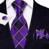 Krawatten Krawatten Mode Luxus Lila Plaid 100 % Seide Krawatten Geschenke für Männer Anzug Hochzeit Barry.Wang Krawatten Taschentuch-Sets Bräutigam Business LN-5287 Y240325