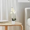 Dekorativa blommor konstgjorda blommor phalaenopsis livtro delade växter små falska bonsai i prydnad ros