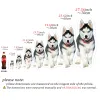 Speelgoed foto -aanpassing diy honden kussen huisdier pluche speelgoed poppen knuffel dier kattenkussen sofa auto decoratief kerstcadeau cadeau