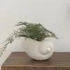 Vazen Conch Vaas Met Scandinavische Stijl Eenvoudige en Luxe Huisdecoratie Ornamenten