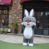 Maskot Kostümleri Cadılar Bayramı Noel Sevimli Tavşan Hare Mascotte Karikatür Peluş Fantezi Elbise Maskot Kostüm