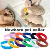 Coleiras para cães 12 unidades / saco Ajustável Nylon Pequeno Filhote de Cachorro Gatinho Nascido Animais de Estimação Identificar Colar Coleira de identificação para animais de estimação recém-nascidos T9I002594