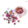 Vernis à ongles 12 couleurs Feuille d'érable Décoration Paillettes Mticolor Brillant DIY Décors Set Teea889 Drop Delivery Dhdci