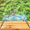 Decoración Cama para mascotas reptil Animal hamaca accesorio para lagarto dragón barbudo suministros silla de salón