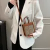 Ladengroßhandel Designer -Taschen Umhängetasche Französische Mode -Handheld -Tasche für Frauen 2024 frühe neue trendige koreanische Ausgabe Einfache Textur
