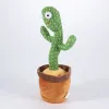 Scatole Simpatico giocattolo elettrico per cactus Ricarica USB Shake Cactus Peluche parlante Bella bambola educativa per l'infanzia Peluche Ripeti giocattolo Regalo per bambini