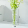 花瓶の家の装飾ガラス花瓶のリビングルーム装飾植物ポット装飾的な容器植物水耕栽培デスクトップ色透明花瓶
