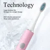 Brosse à dents Xiao Mijia Sonic Electric Brosse de dents USB Charge rechargeable 5 modes Electronic Whitening IPX7 Brosse de dents imperméables MI