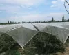 Markisen Nylon-Hagelschutznetz, Hagelschutz-Gartennetz, weißes 8-mm-Netz