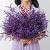 100g erhalten natürliches Limonium bouquetfresh Sea Lavenderbaby Blumen für Hochzeits Geburtstagshome Dekorgift Mutter 240325