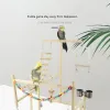 Perches Wood Parrot Playground Bird Playstand Perchers Cockatiel Playgym With Swing Ladders Feeder Bite Toys Activity Center