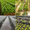 Unterstützt DIY Hoop Grow Tunnel DIY Gewächshaus Hoop House Kit Garten Hoop House Gewächshaus Stützrahmen für Hochbeete Gewächshaustunnel