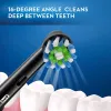 Kafalar Sözlü B Orijinal Elektrikli Diş Fırçası Kafaları EB50 Çapraz Eylem 16 Derece Bozuklar Kaldırma Bakım Dişleri Fırça Başları Yumuşak Kıl Nozul