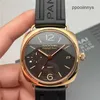 İzle İsviçre Made Panerai Spor Saatleri Paneraiss PAM00421 Manuel Mekanik Erkekler 47mm Hareket Saatleri Su Geçirmez Paslanmaz Çelik