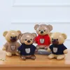 Boîtes créatives Abs Pull ours Borgy Banque Piggy Bank Transparent Belle boîte d'argent en peluche Cadeau pour les enfants