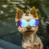 Acessórios Benepaw Moda Pequeno Cão Óculos de Sol À Prova de Vento Antipoeira Óculos para Animais de Estimação com Faixa Ajustável para Proteção UV Óculos para Filhotes de Cachorro