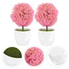 Fleurs décoratives 2 pcs Simulate Plante Plant Bureau de fausses plantes de bonsaï décor artificielles pour la maison intérieure mini