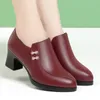 Dress Shoes Plus Size 41 2024 Solid OL Pumps For Women Office Career Sofe Chunky Heels Leather Mum Female Work High