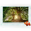 Aquariums fond aquarium 3d Forest Tree Roots