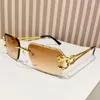 Okulary przeciwsłoneczne Y2K Designer Bezprawne kobiety dla mężczyzn 2024 Vintage Punk Sun Glasses Gold Leopard Okulasy UV400