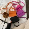 Torby na ramię mini kamienne wzory dla kobiet 2024 Crossbody Messenger torebki Lady Travel Cross Body Bag torebki #25