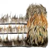 Kaligrafia 1Meter/działek naturalne wykończenia piór bażanty Fringe Rooster Feathers Pech Pluma Wstągi do rzemiosła DIY Dekor