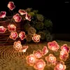Stringhe 3 metri di fiori di ciliegio, ghirlanda di fiori, lampada a LED, azionata tramite USB, lucine, fiori di cristallo, decorazioni natalizie per matrimoni per interni