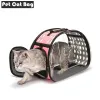 Ensemble de transport pour poussettes et chiens, capsules spatiales transparentes pour chats, cage pliante conçue pour les voyages, la marche, les fournitures pour animaux de compagnie en plein air
