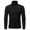 Primavera outono masculino gola alta manga comprida cor sólida rollneck camisola quente masculino jumper fino ajuste de fundo simples camiseta 240309