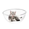 Jouets Acrylique Chat Maison Transparent Dôme Couverture Chat Maison Acrylique Nid Meubles Pour Animaux De Compagnie AntiScratch Chat Jouets Lits Pour Chats D'intérieur Fenêtre