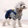 Adorable ours en tricot à sauter de chien - Tépanisme confortable et facile à boucle de presse de presse pour les petits / moyens chiens