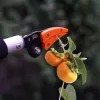Kapaklar Uzatma Lopper Şube Makas Uzatılabilir Bahçe Aracı Lopper Tree Düzeltme Şube Kesici Meyve Seçici Apple Persimmon