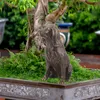 庭の装飾ダックスフンド犬の彫刻飾りアンティークスタイルのパティオスタンディング子犬屋外彫像装飾庭の芝生