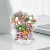 Vases Landscape Ecological Bottle Moss Bedroom Decore Plant Container Decorate For Living DIY Plants Micro Glass