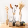 Wazony kreatywny przezroczysty wazon szklany nowoczesny minimalistyczny hydroponiczny wazon nordycki ozdoby domowe dekoracja wazonu suszona wazon kwiatowy