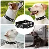 Dog Collars Exquisite Flower Pattern Collar Pet With Buckle Adjustable For Small To Dogs Safety Boys