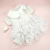 Dog Apparel Sweet Cute Pet Dress Doll Collar Fashionable With Lace Skirt Faux Pearl Decoration For Small