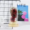 Fleurs décoratives, vente directe d'usine, simulation de fleurs séchées, couvercle en verre, boîte-cadeau, 520 pièces, vente en gros pour la saint-valentin