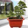 Plantenbakken Potten 10 Stuks Bloempot Rechthoekige Kamerplanten Zaailing Grote Plastic Bonsai Home Office Potten 240325