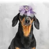 Hundkläder Halloween Pet Dress Up Set kläder för katt liten dräkt kjol valp cosplay prop tutu hatt pumpa