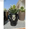 Planters Pots NBHD oversized trendy root plant agave large pot prickly foot sumac ivory palace planting wood bowl 240325