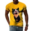 Verão Fi Cat Picture T-Shirts Para Homens Casual Impressão 3D Tees Hip Hop Persality Em Torno Do Pescoço Manga Curta Tops 15Yk #