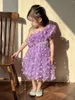 Girl Dresses Summer 2024 Ins Kid Girls Birthday Dress Mesh Puffy Solid Children Evening Toddler Butterfly Patched Baby