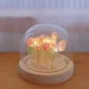 Ambachten Handgemaakte Tulp Nachtlampje Warmtekrimpbare Film DIY Materiaal Nachtkastje Ornament Home Decor Prachtig cadeau voor moeder Gitlfriend