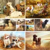 Number Animal Dog Labrador Coloring By Numbers Painting Set Oil Paints 50*70 Painting On Canvas New Design Crafts For Adults Handiwork