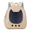 고양이 캐리어 애완 동물 용품 가방 어깨 공간 얕은 투명 대형 편안한 통기성 배낭.
